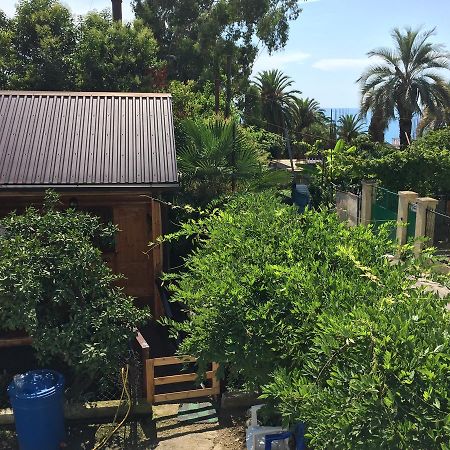 Guest House Nana Gagra Exterior foto