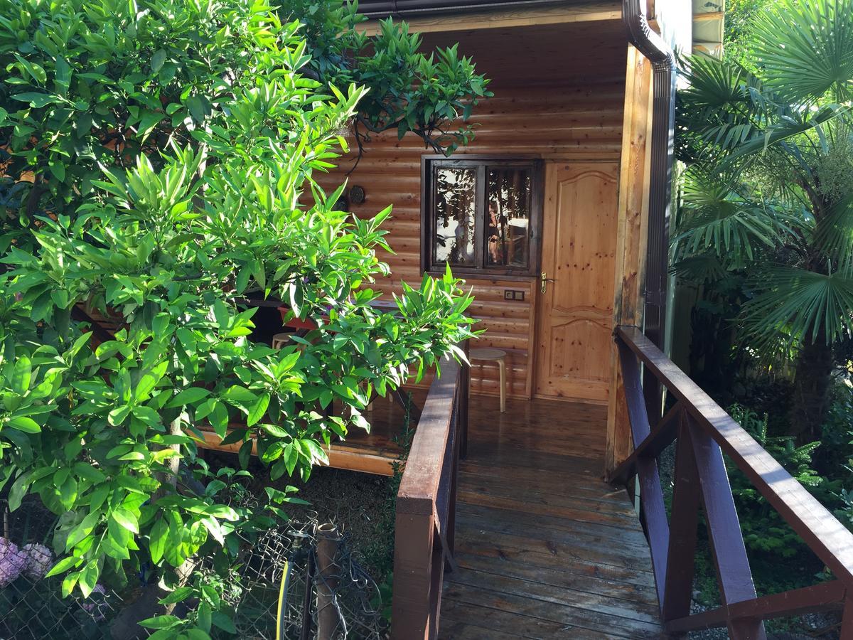 Guest House Nana Gagra Exterior foto