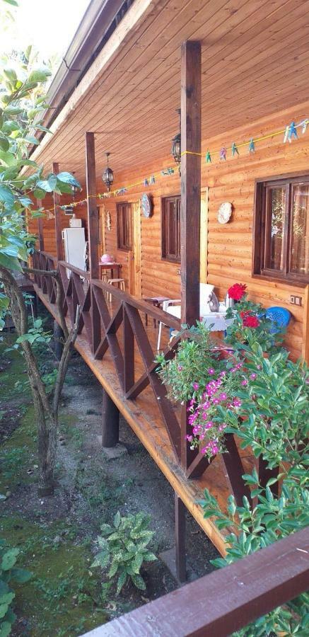 Guest House Nana Gagra Exterior foto